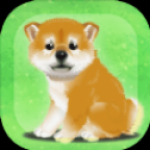 养育柴犬的治愈游戏下载-养育柴犬的治愈安卓游戏下载1.0.0