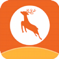 小鹿专升本app下载,小鹿专升本app官方版 v1.1