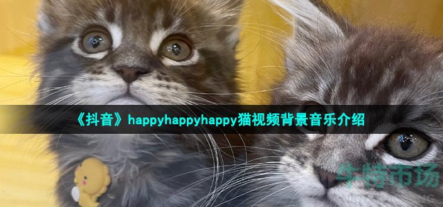 抖音happyhappyhappy猫视频bgm是什么歌-happy猫视频背景音乐介绍