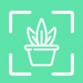 拍照识别植物弛意版app下载,拍照识别植物弛意版app官方版 v1.0.0